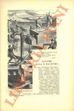 REULEAUX Francesco - Allume soda e salnitro.