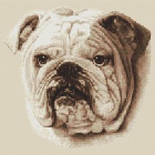 Bulldog Cross Stitch Design