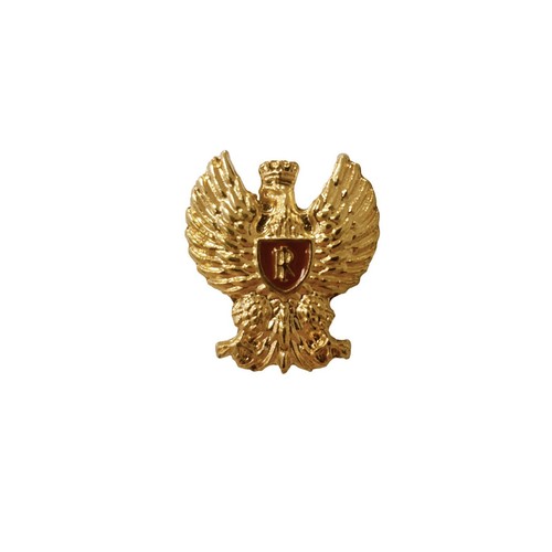 Pins giacca aquila - da,