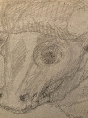 Disegno matita mucca - disegno, arte