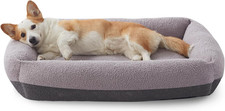 Cuccia cane interno taglia - cane,