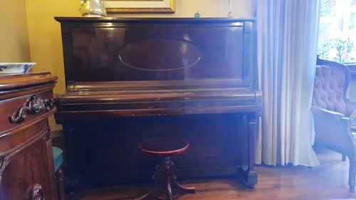 Pianoforte menzel - pianoforte, w.