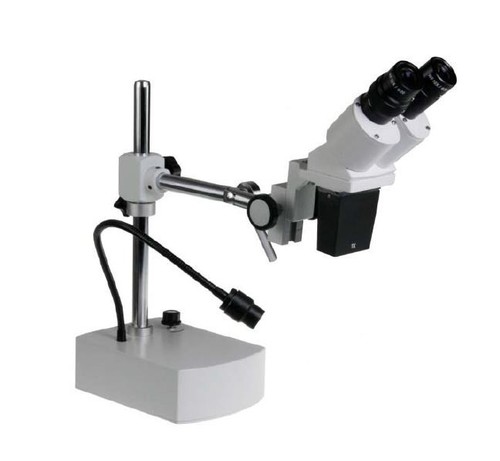 Stereomicroscopio euromex - stereomicroscopio,