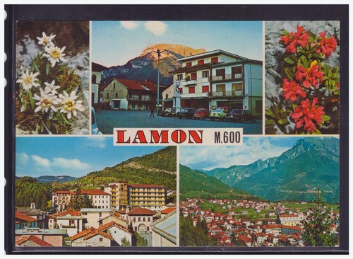 Cartolina lamon 600 vedutine - 600,