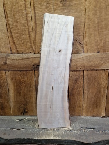 Live edge sycamore - sycamore, slab