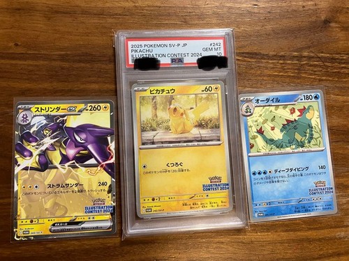 Pokemon pikachu promo card - pikachu,