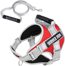 Pettorina Cane Taglia