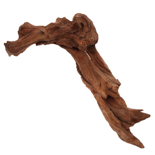 Decorazioni per paesaggi per