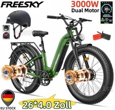 3000W Biciclette elettriche