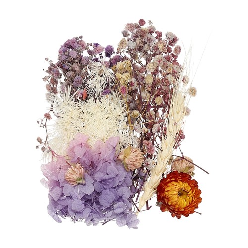 Set fiori secchi - set,