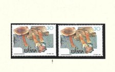 España Micologia Setas