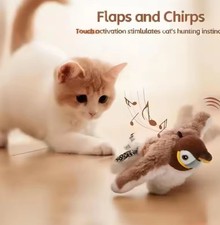 Gioco Per Gatti Interattivo