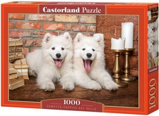 NUOVO puzzle Castorland 1000