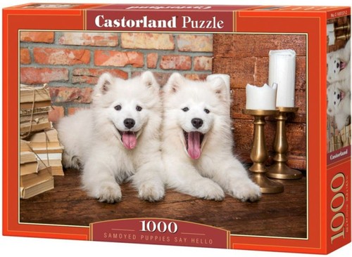 Nuovo puzzle castorland 1000 - puzzle,