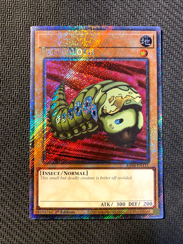 Errore misprint petit - petit, moth