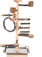 Uccellini Parco Giochi