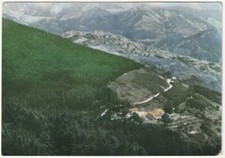 FORESTA DI CAMPIGNA - FORLI' - SULLA S.S. 310 DEL BIDENTE - VIAGG. 1968 -6233-