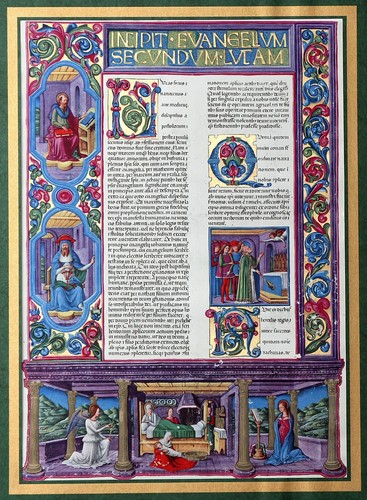 Stampa fotografica stampa