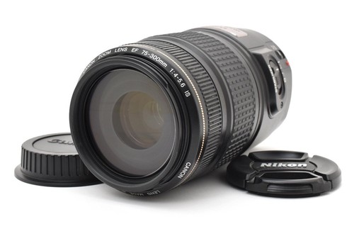 Canon 300mm 5 - 75,