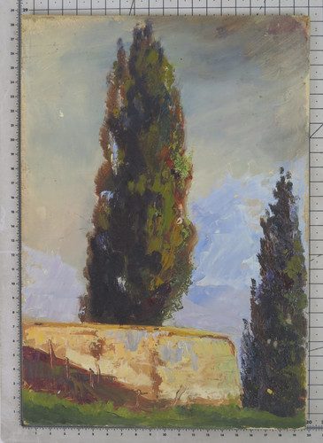 Quadro olio piccole - quadro,