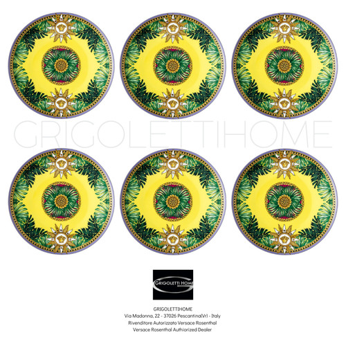 Versace rosenthal jungle - -,