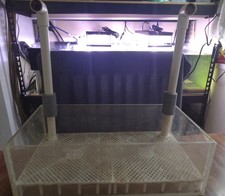 LONG Scatola Doppia UGF [Sotto