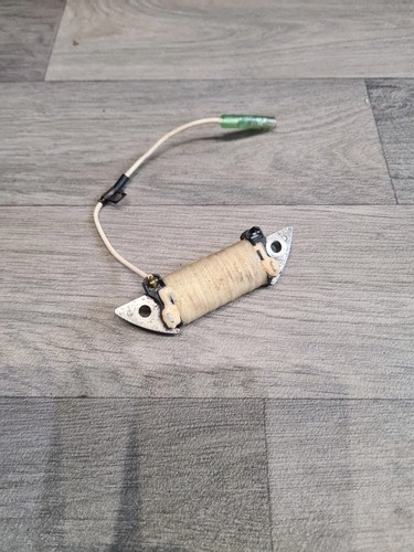 Bobina eccitatore fuoribordo