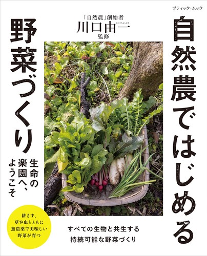 Starting vegetable growing - starting,