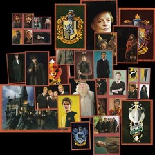 Figurine Le case di Hogwarts Harry Potter | Wizarding World | Animaii Fan Panini