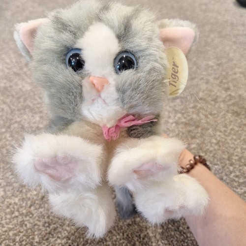 Kitty kittens grigio - kitty,