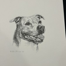 Staffordshire Bull Terrier