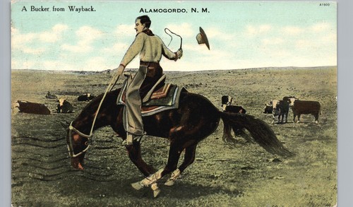 Bucker from wayback - un,