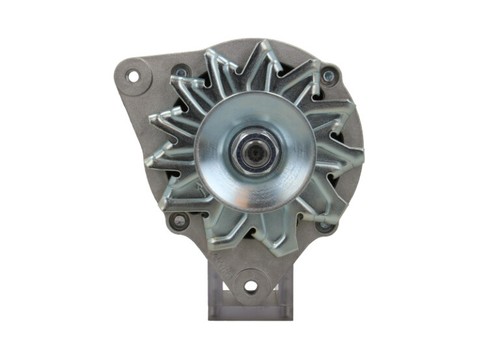 Mahle alternatore per landini - mahle,