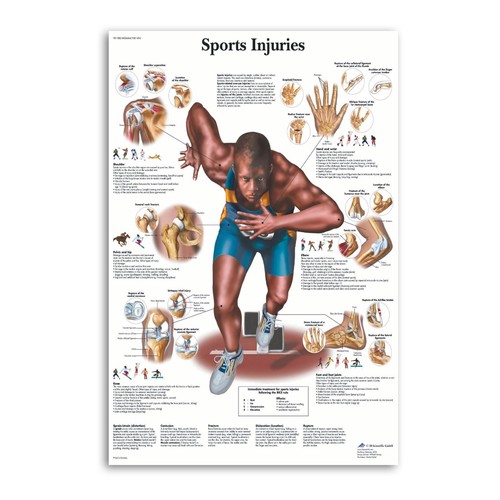 Poster diagramma movimento