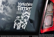 Yorkshire Terrier - Car Window