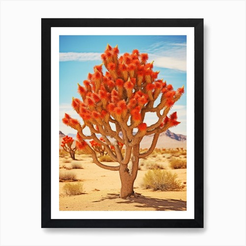 Yucca brevifolia subsp - brevifolia,