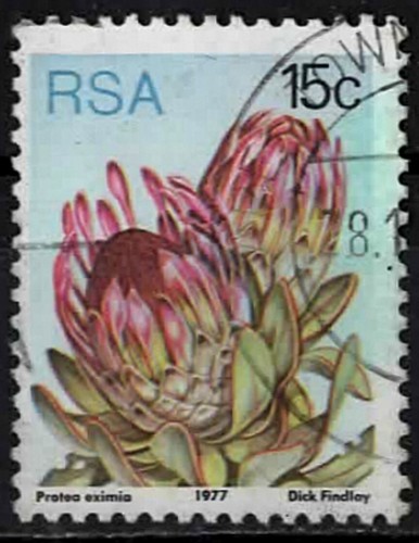 1977 afrique sud - afrique, du