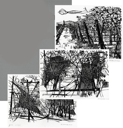 Schialvino gianfranco vigna - ", vigna"