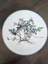 Villeroy Boch Botanica Teiera Trivet Vaccinium Myrtillus