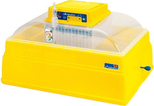 Incubatrice uova automatica - uova,