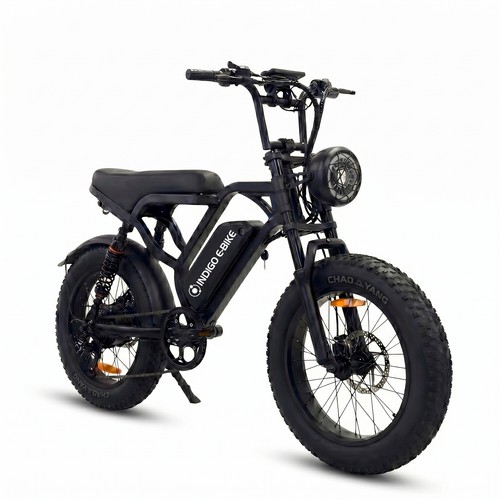 Fat tire bike - fat,
