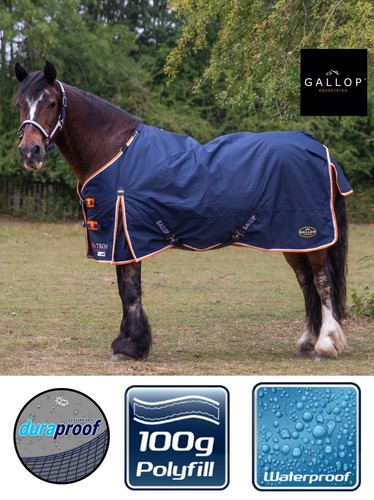 Tappeto cavallo affluenza - tappeto,