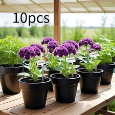 10 pezzi etichette per piante