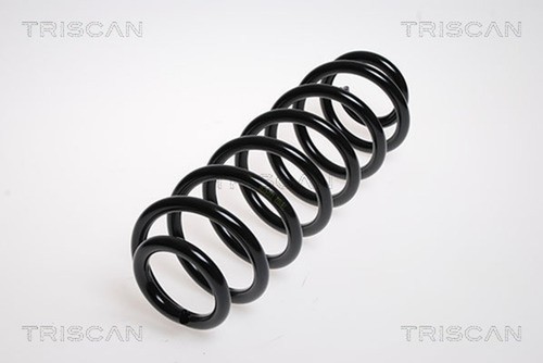 Molla sospensione triscan - 1,
