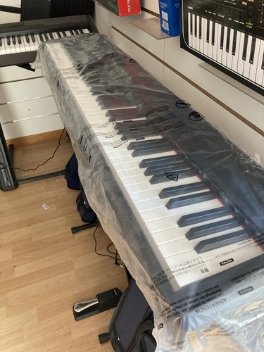 Piano digitale echord - piano, dp-1