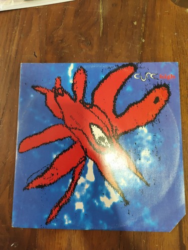 Dischi vinile high higher - vinile,