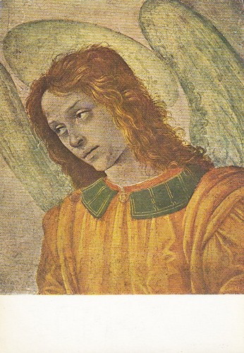 Filippino lippi busto angelo - filippino,