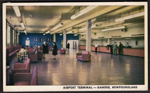 Canada gander cartolina - gander,