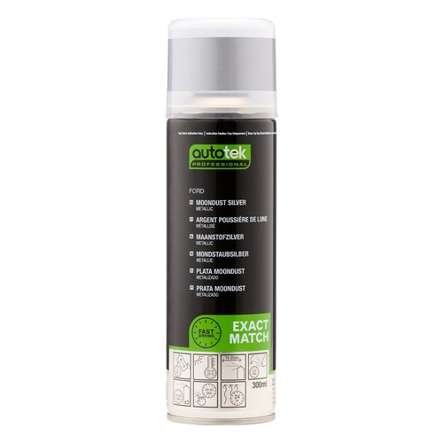 Vernice spray aerosol