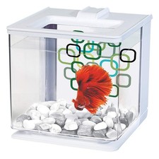 Marina EZ Care Betta Kit